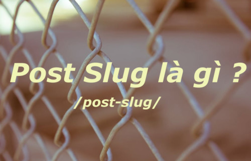 Post Slug Là Gì? Tìm Hiểu Về Post Slug Là Gì?