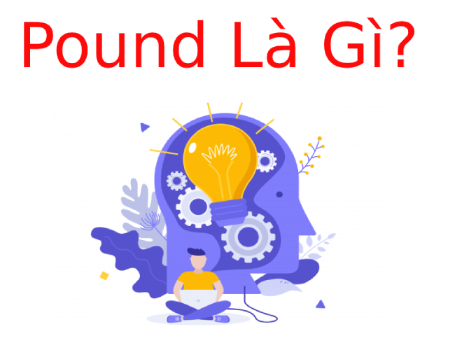Pound nghĩa là gì? Cách quy đổi đơn vị pound
