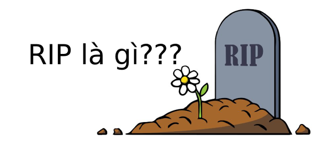 RIP là gì? Tìm hiểu về thuật ngữ RIP