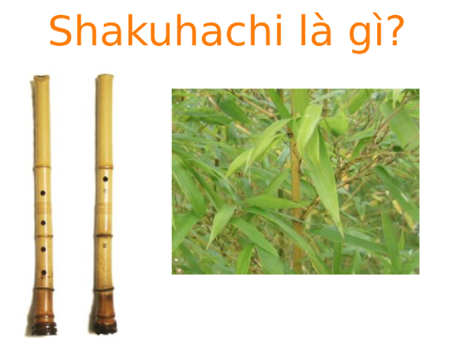 Shakuhachi là gì và nguồn gốc của Shakuhachi như thế nào?