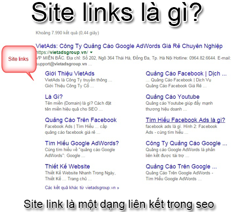 Sitelink Là Gì? Tìm Hiểu Sitelink Là Gì?