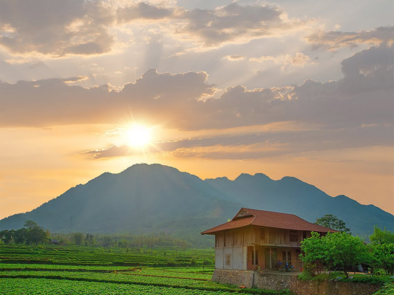 31/7 là ngày gì? Mệnh gì? Cung hoàng đạo gì? Có sự kiện nổi bật nào?