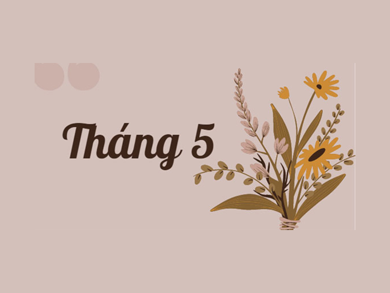 Tháng 5 là cung gì? Tính cách, sự nghiệp, tình yêu của cung tháng 5