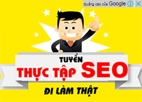 Tuyển 03 thực tập SEO có hỗ trợ năm 2020