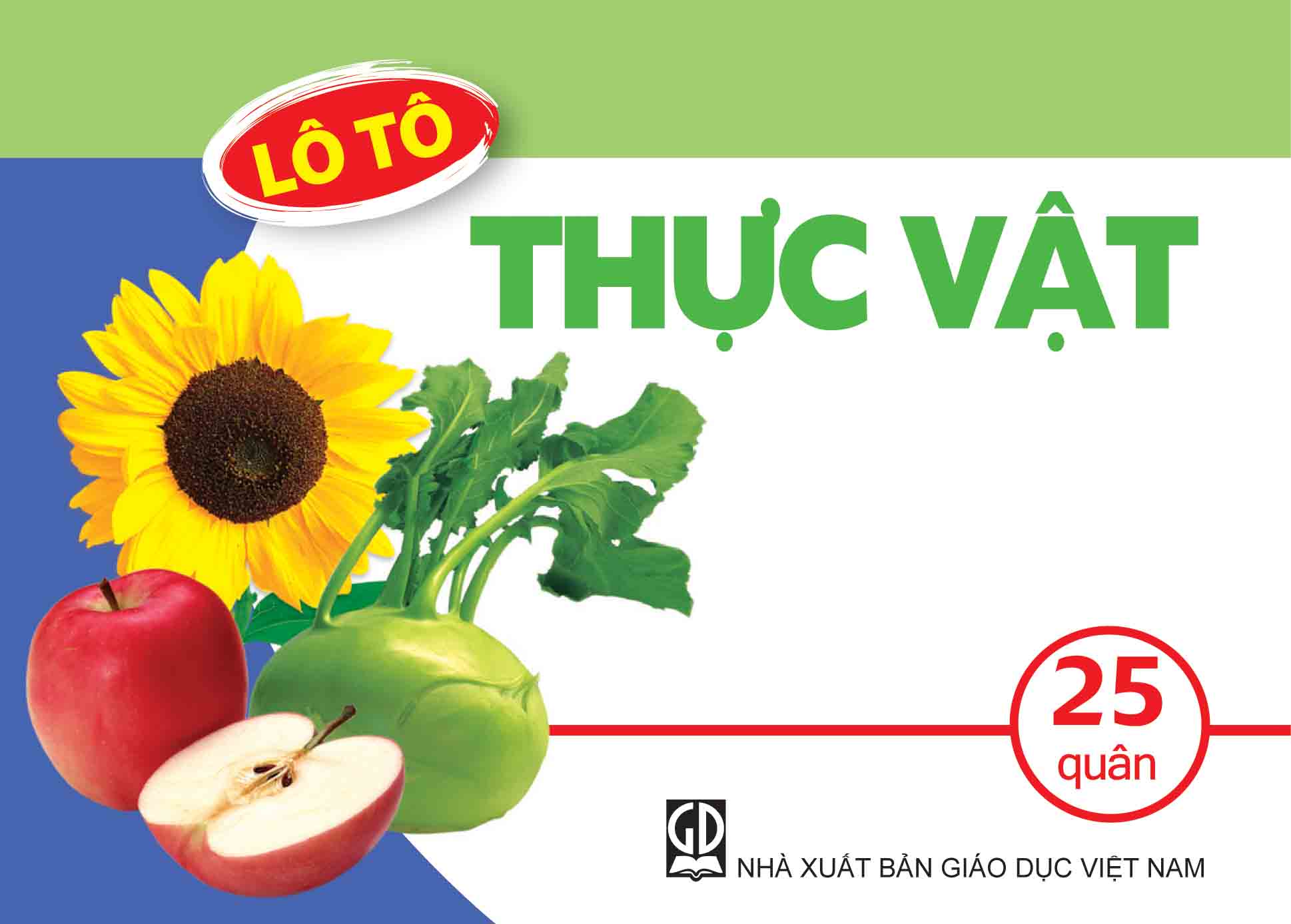 Thực vật là gì và những khả năng kỳ diệu của thực vật?