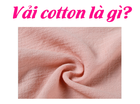 Vải Cotton là gì? Cách nhận biết vải Cotton