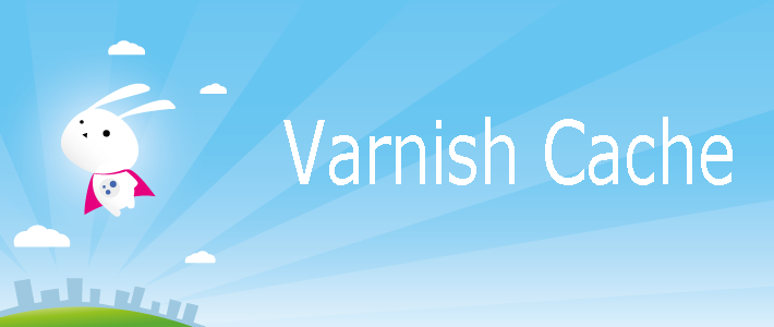 Varnish Cache Là Gì? Tìm Hiểu Về Varnish Cache Là Gì?