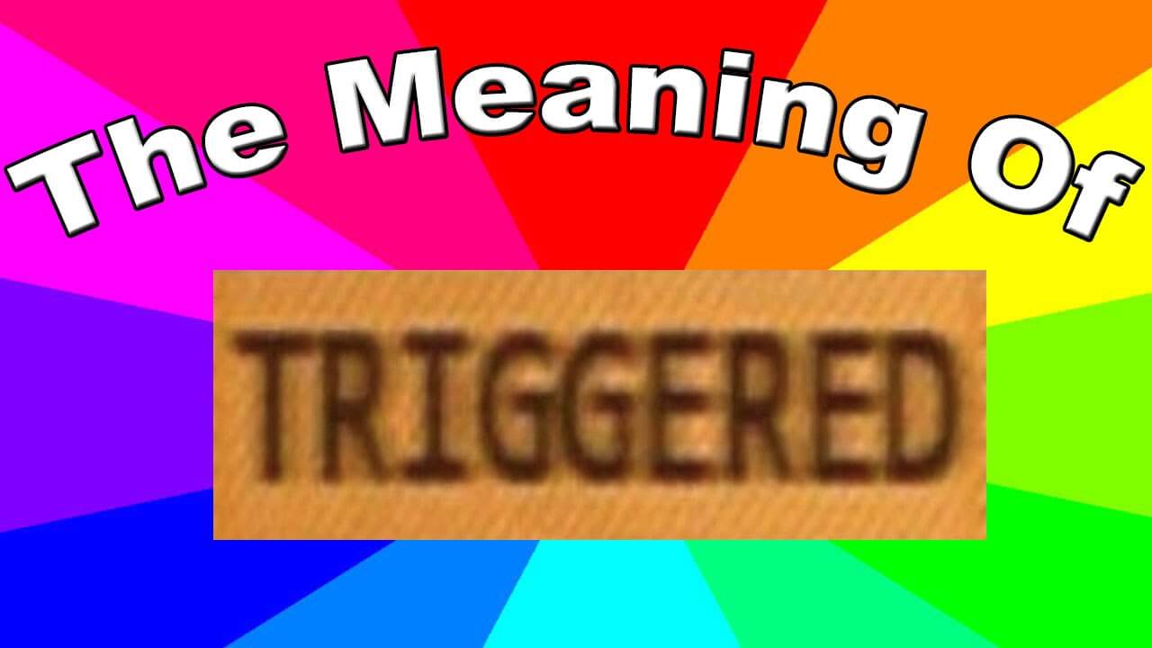 Triggered là gì và ý nghĩa của Triggered và Meme ra sao?