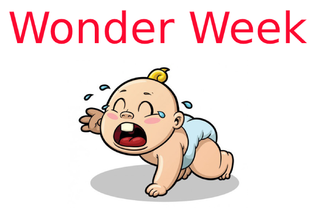 Wonder week là gì? Biểu hiện bé trong giai đoạn wonder week