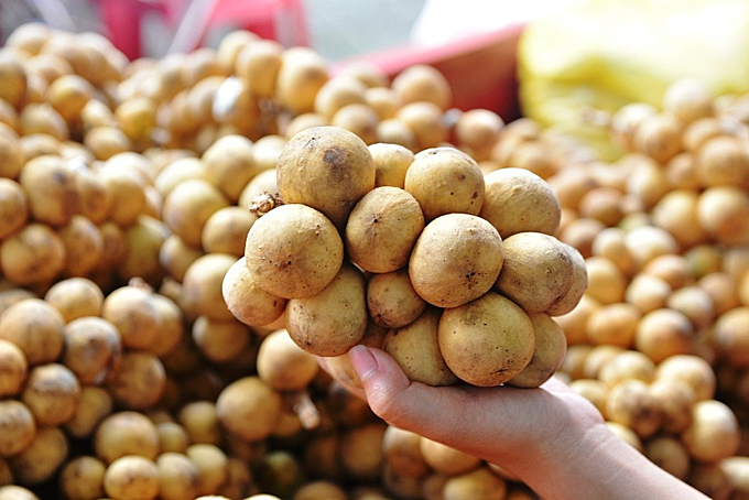 Dâu da đất là gì và bà bầu ăn quả dâu da đất có tốt không?