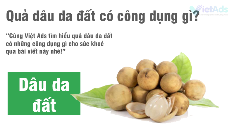 Quả Dâu Da Đất Có Những Công Dụng Gì?