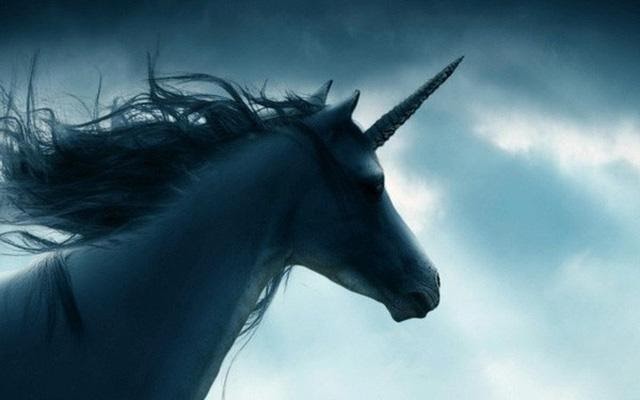 Unicorn là gì? Những ý nghĩa của Unicorn