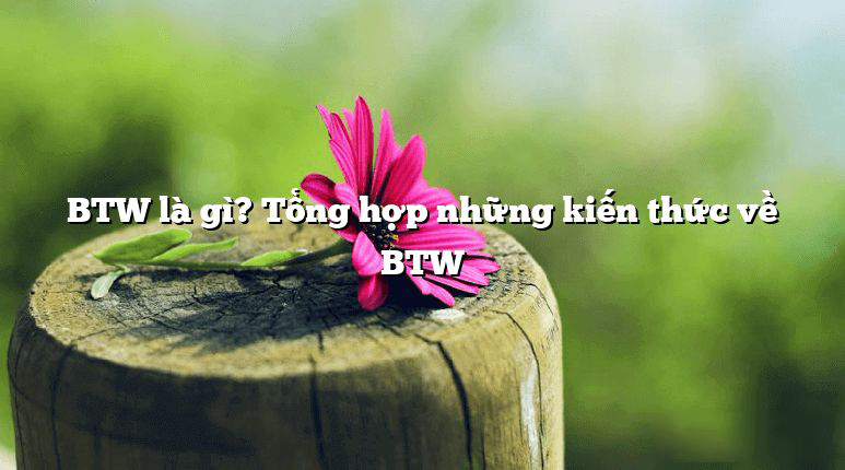 BTW là gì? Tổng hợp những kiến thức về BTW Btw Là Gì? Tổng Hợp Những Kiến Thức Về Btw