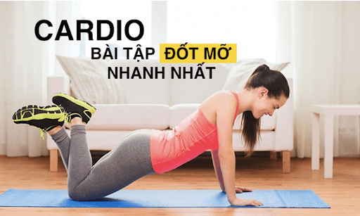 Cardio là gì? Tác dụng của Cardio cùng Một số bài tập hiệu quả