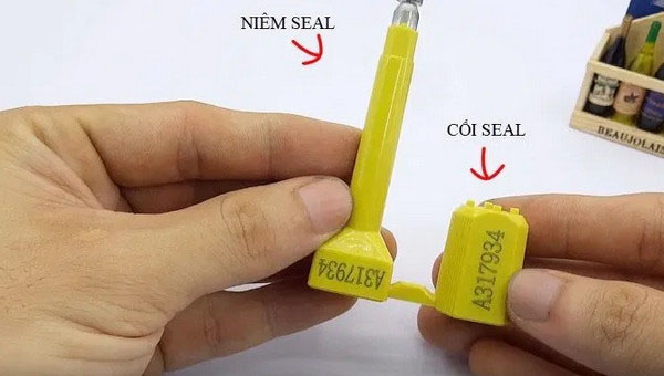 Seal là gì? Những ý nghĩa của Seal