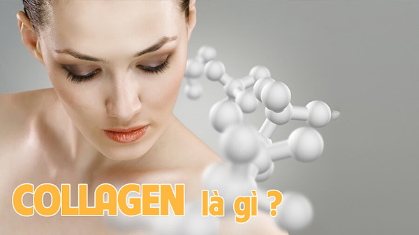 Collagen là gì? Những ý nghĩa của Collagen