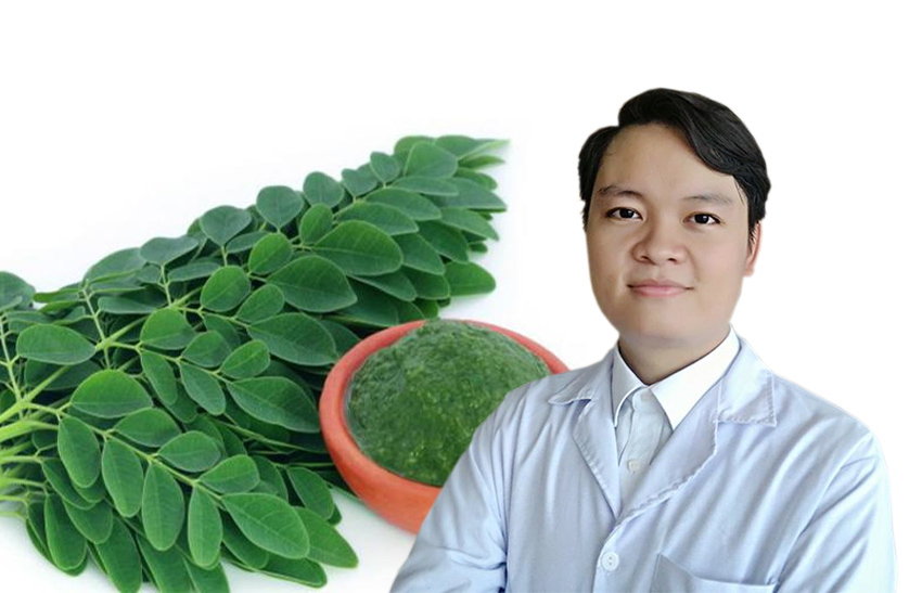 Cây chùm ngây là gì? Cây chùm ngây chữa bệnh gì?