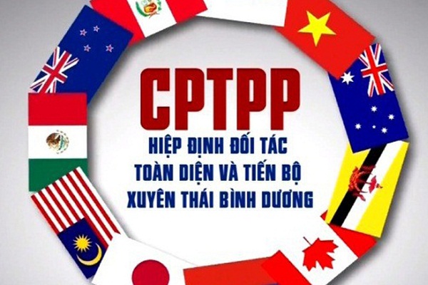 Hiệp định CPTPP là gì? Vai trò của CPTPP đối với các quốc gia?