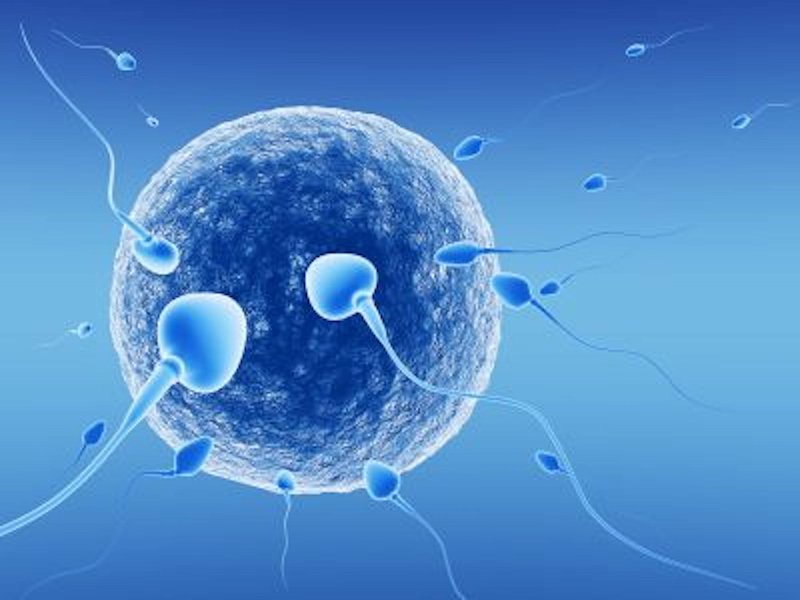 IVF là gì? Quy trình thụ tinh IVF diễn ra như thế nào?