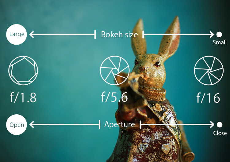 Khẩu độ là gì? Những ý nghĩa của Khẩu độ