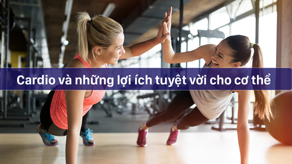 Cardio là gì? Tác dụng của Cardio cùng Một số bài tập hiệu quả