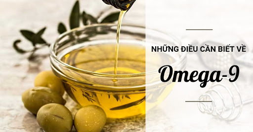 Omega 9 là gì? Các thực phẩm có chứa Omega 9?