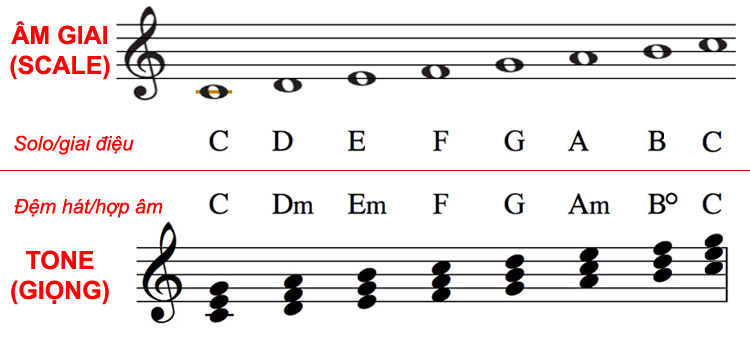 Scale là gì? Những ý nghĩa của Scale