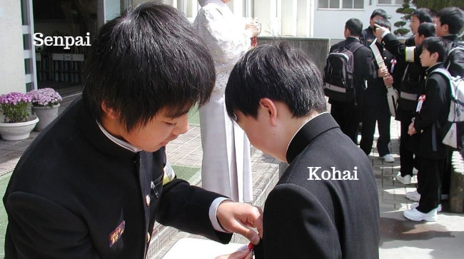 Senpai là gì? Những ý nghĩa của Senpai