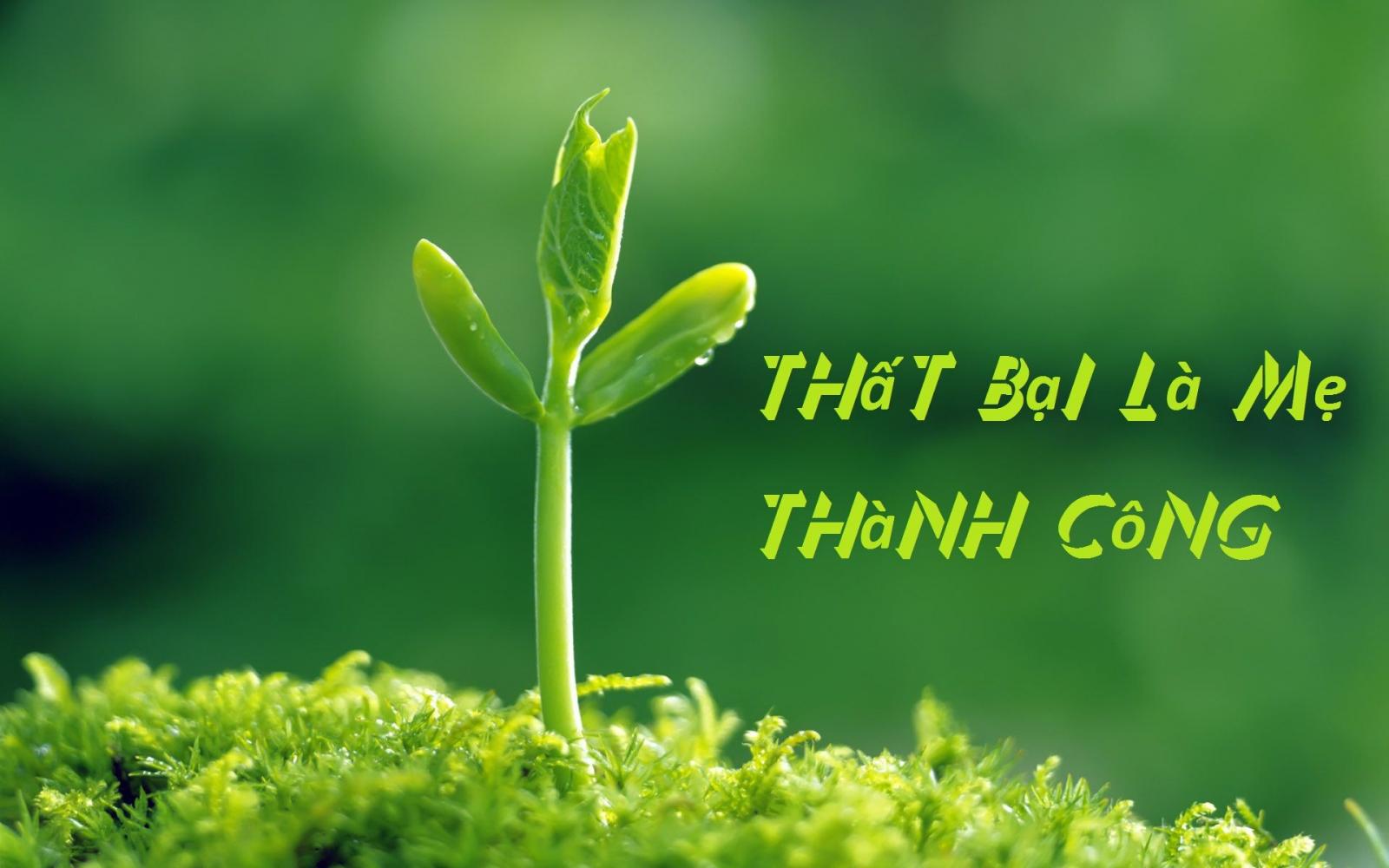 Thành công là gì? Những ý nghĩa của Thành công