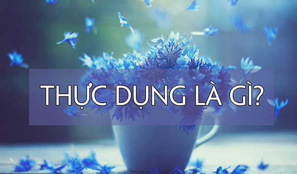 Thực dụng là gì? Những ý nghĩa của Thực dụng