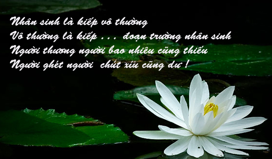 Vô thường là gì? Vô thường là chân lý tuyệt đối?