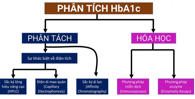 HbA1c là gì? Theo dõi chỉ số HbA1c như thế nào?