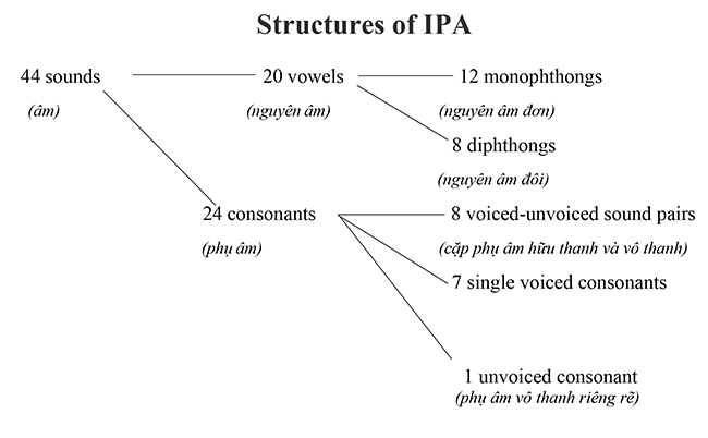 IPA là gì? Những ý nghĩa của IPA