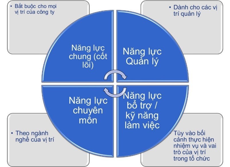 Năng lực là gì và năng lực chung khác năng lực chuyên môn ra sao?