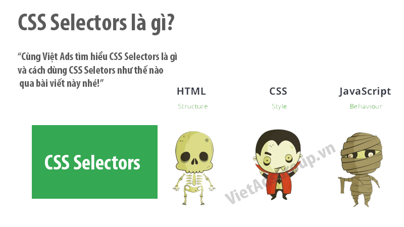 CSS Selectors là gì và cách dùng CSS Seletors?