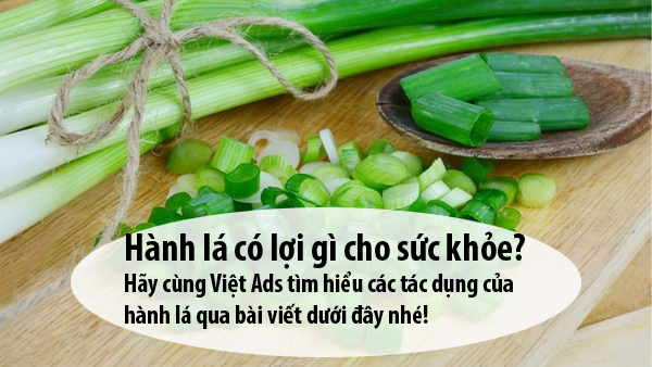 Ăn hành lá có lợi gì cho sức khỏe và các tác dụng của hành?
