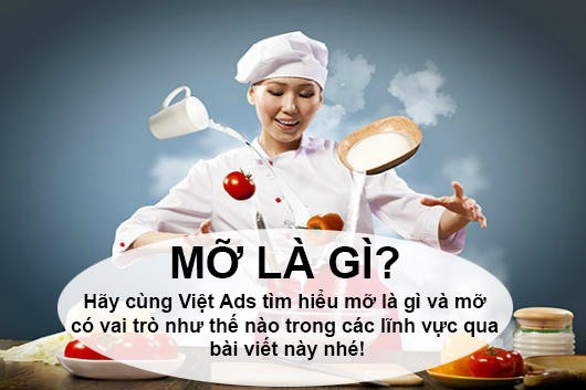 Mỡ là gì và mỡ có vai trò như thế nào trong các lĩnh vực?