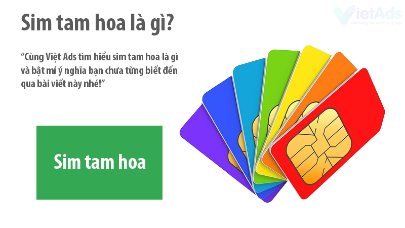 Sim tam hoa là gì và bật mí ý nghĩa bạn chưa từng biết đến?