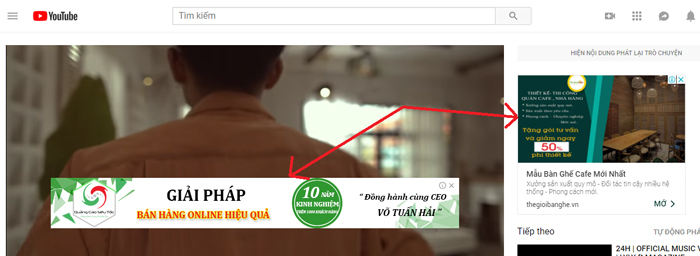 Quảng cáo Banner thú cưng - VietAdsGroup.Vn