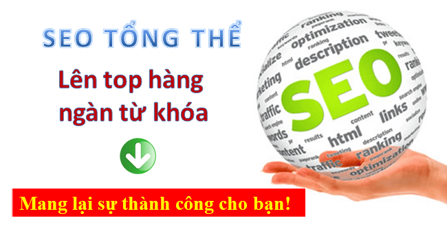 SEO Website asp.net lên trang nhất Google
